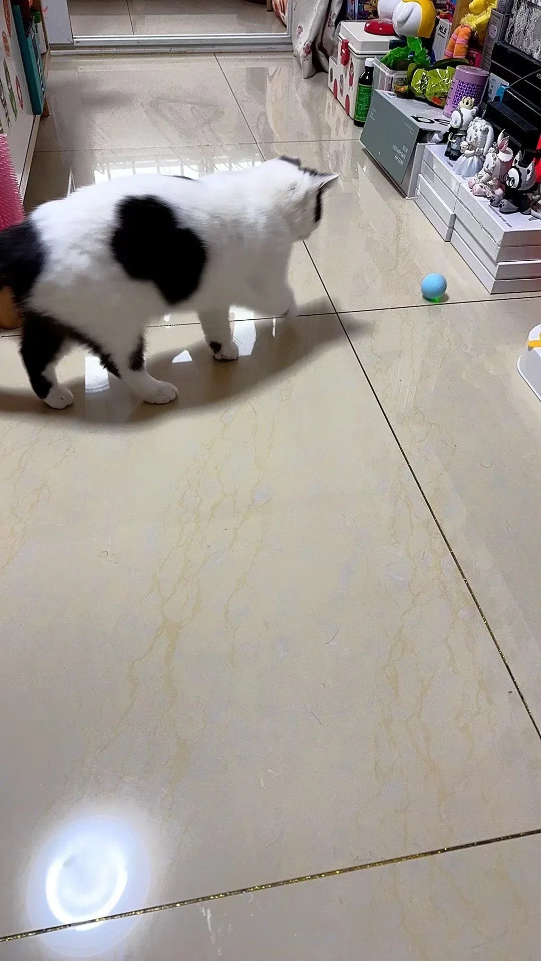 Bola Interativa Inteligente para Gatos – Brinquedo Eletrônico com Rolamento Automático e Efeitos Mágicos