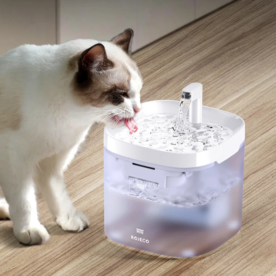 Bebedouro Fonte Água Inteligente para Gatos