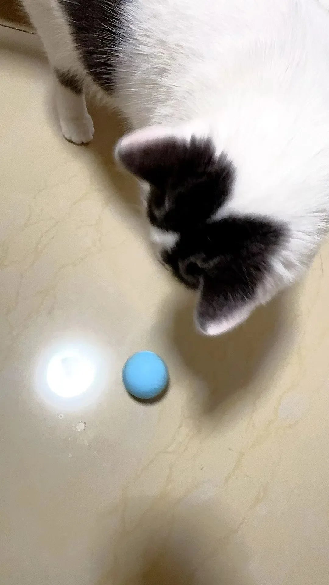 Bola Interativa Inteligente para Gatos – Brinquedo Eletrônico com Rolamento Automático e Efeitos Mágicos