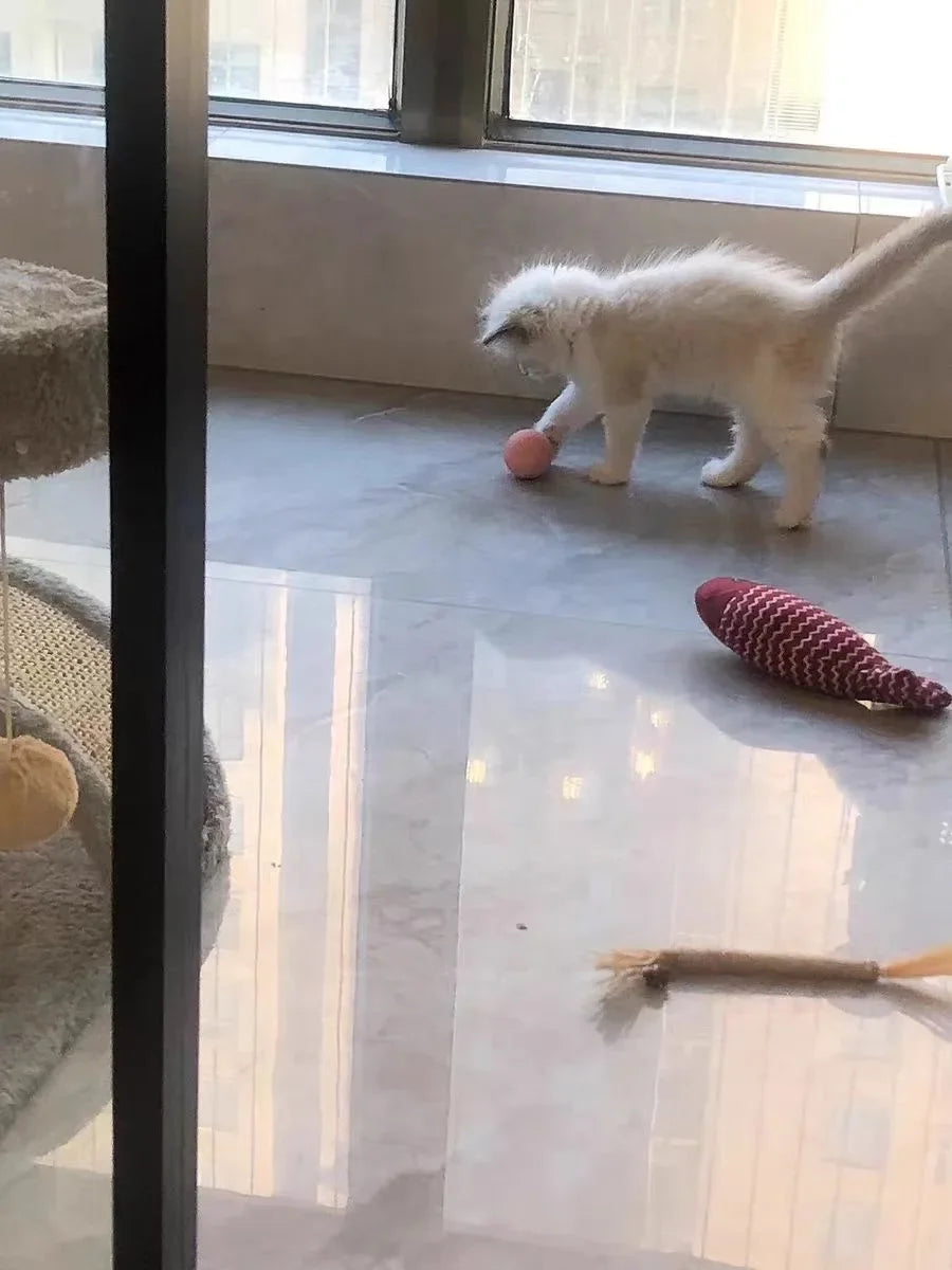 Bola Interativa Inteligente para Gatos – Brinquedo Eletrônico com Rolamento Automático e Efeitos Mágicos