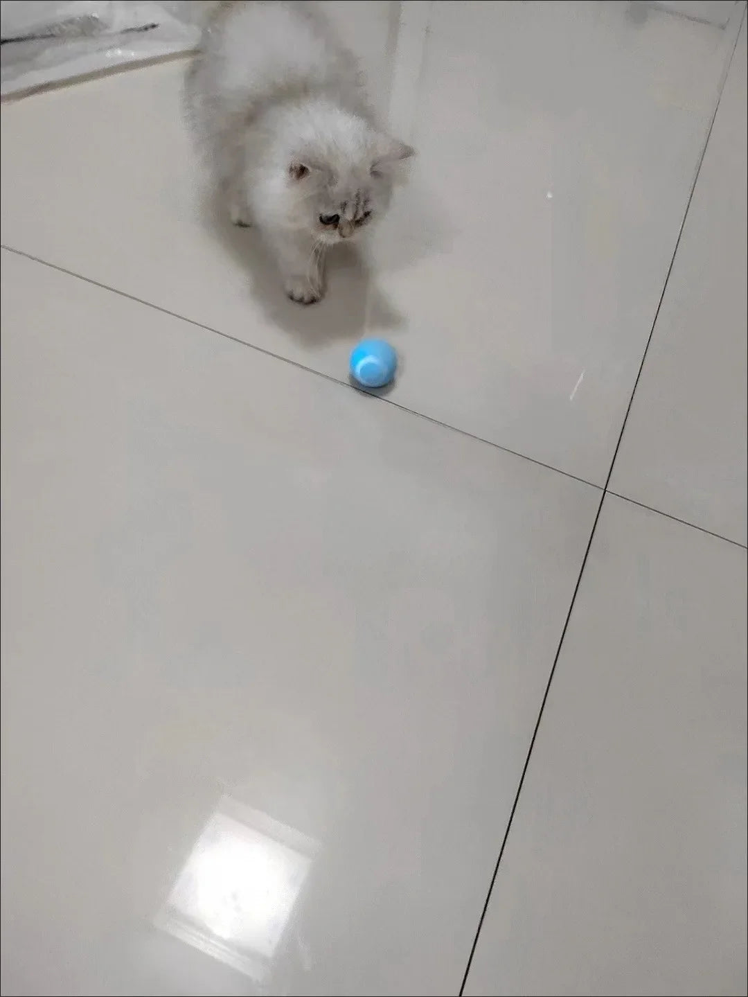 Bola Interativa Inteligente para Gatos – Brinquedo Eletrônico com Rolamento Automático e Efeitos Mágicos