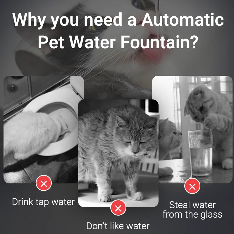 Bebedouro Fonte Água Inteligente para Gatos