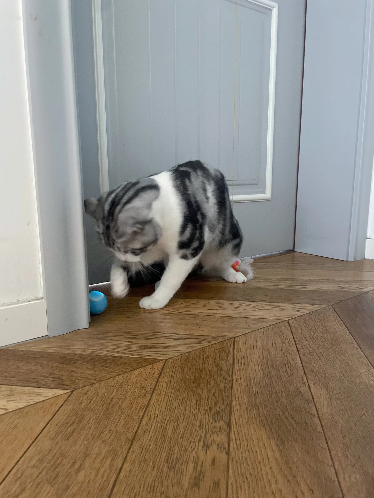 Bola Interativa Inteligente para Gatos – Brinquedo Eletrônico com Rolamento Automático e Efeitos Mágicos