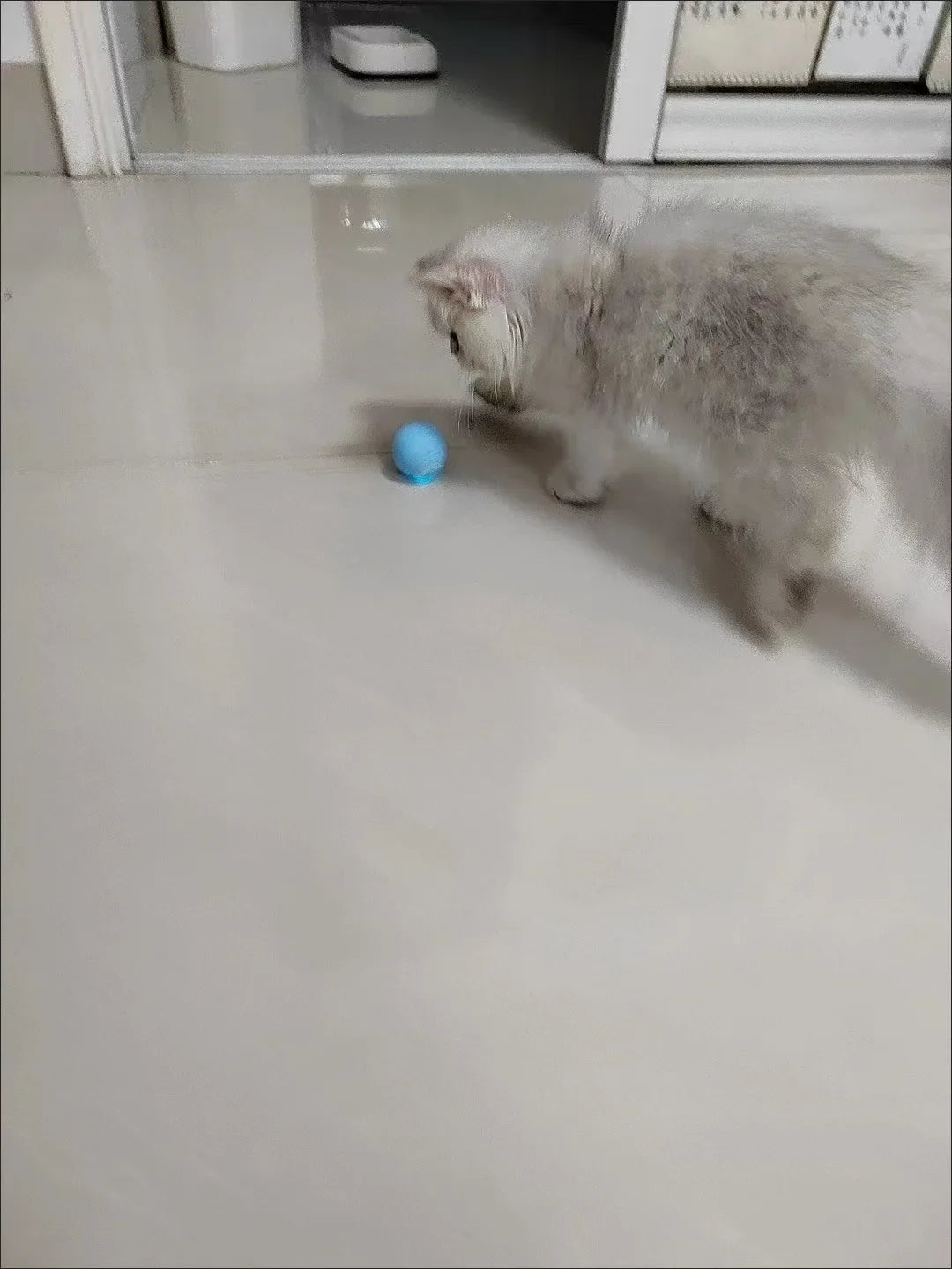 Bola Interativa Inteligente para Gatos – Brinquedo Eletrônico com Rolamento Automático e Efeitos Mágicos