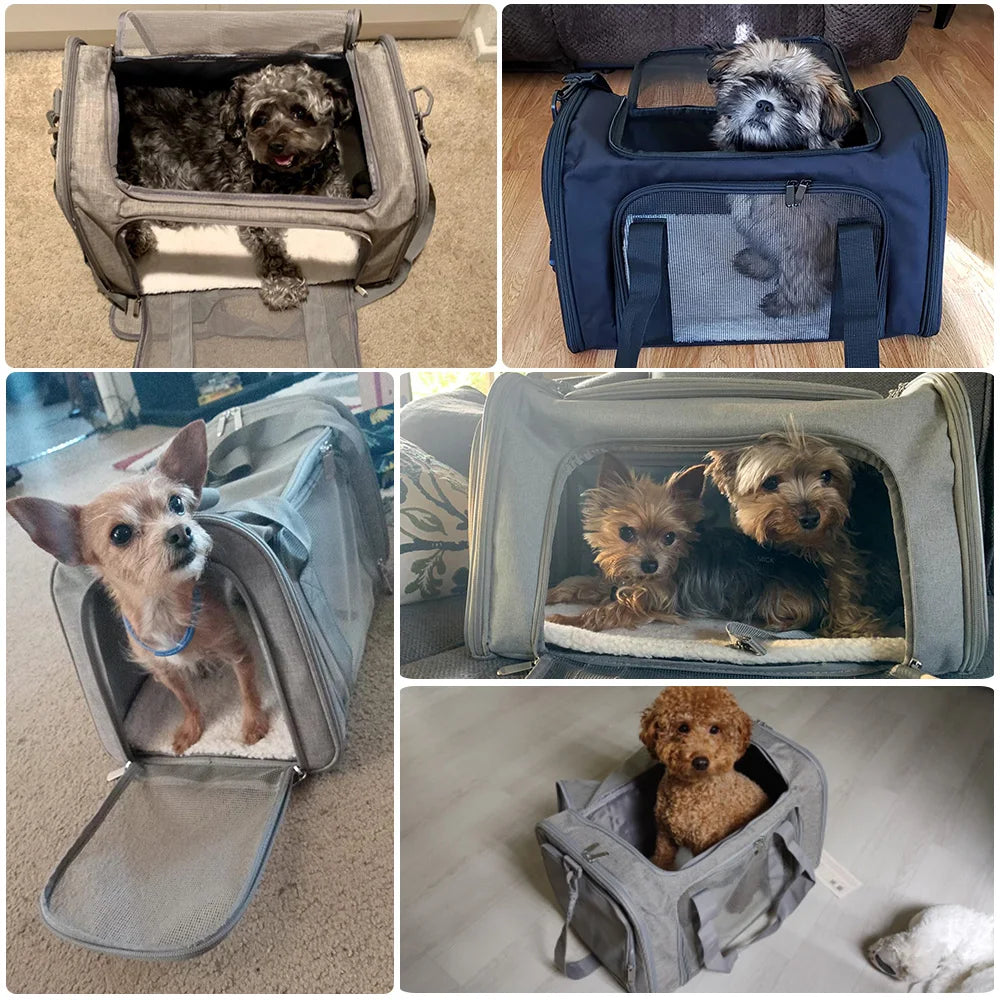 Mochila de Transporte para Cães e Gatos