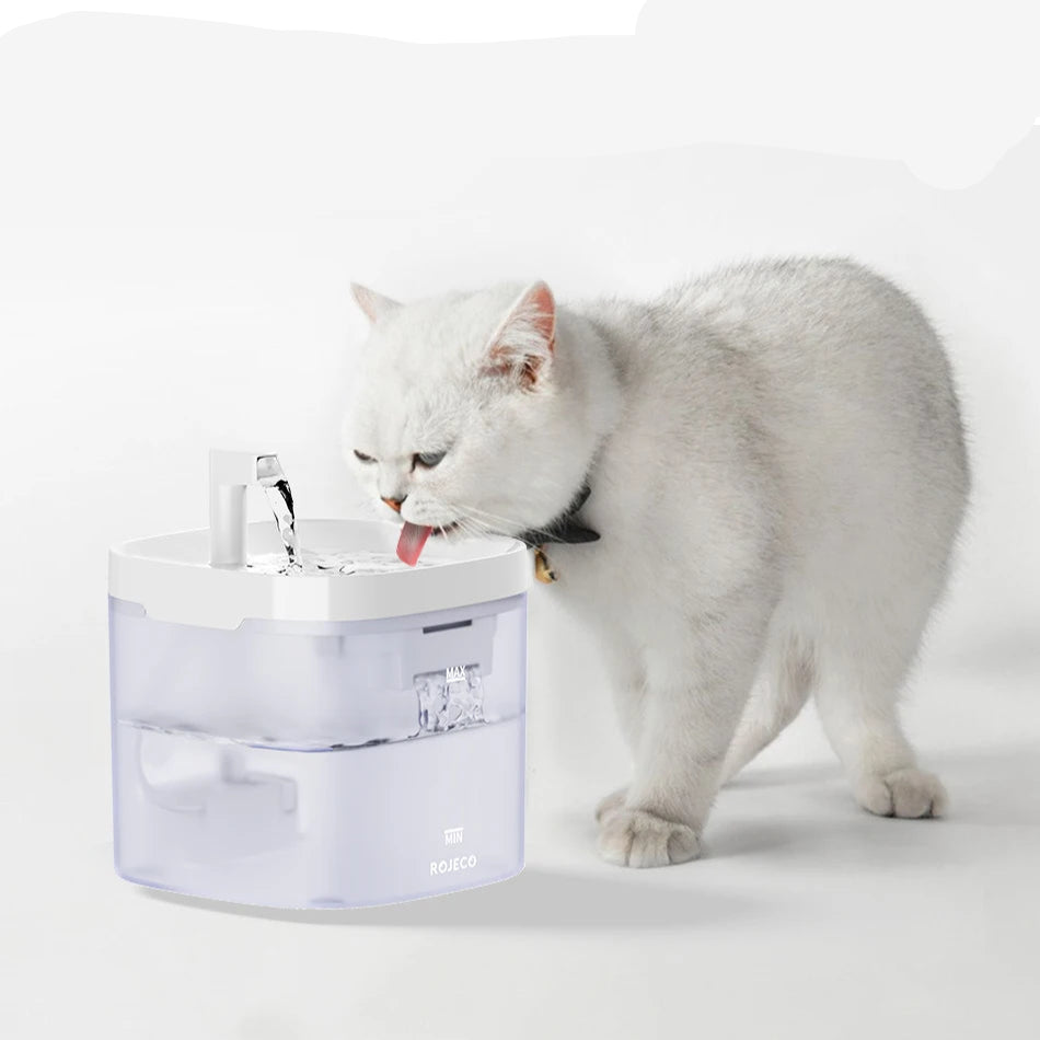 Bebedouro Fonte Água Inteligente para Gatos