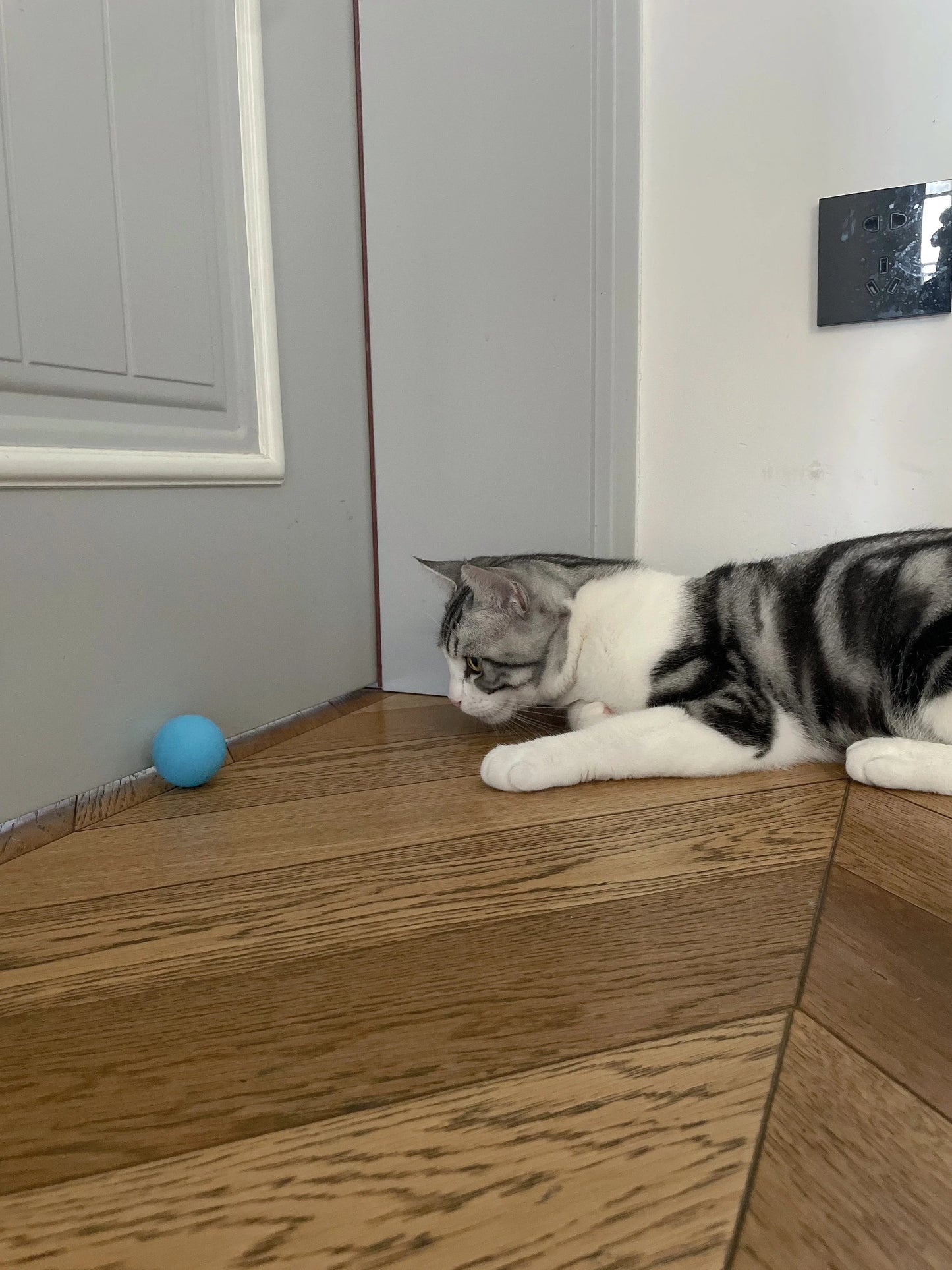 Bola Interativa Inteligente para Gatos – Brinquedo Eletrônico com Rolamento Automático e Efeitos Mágicos