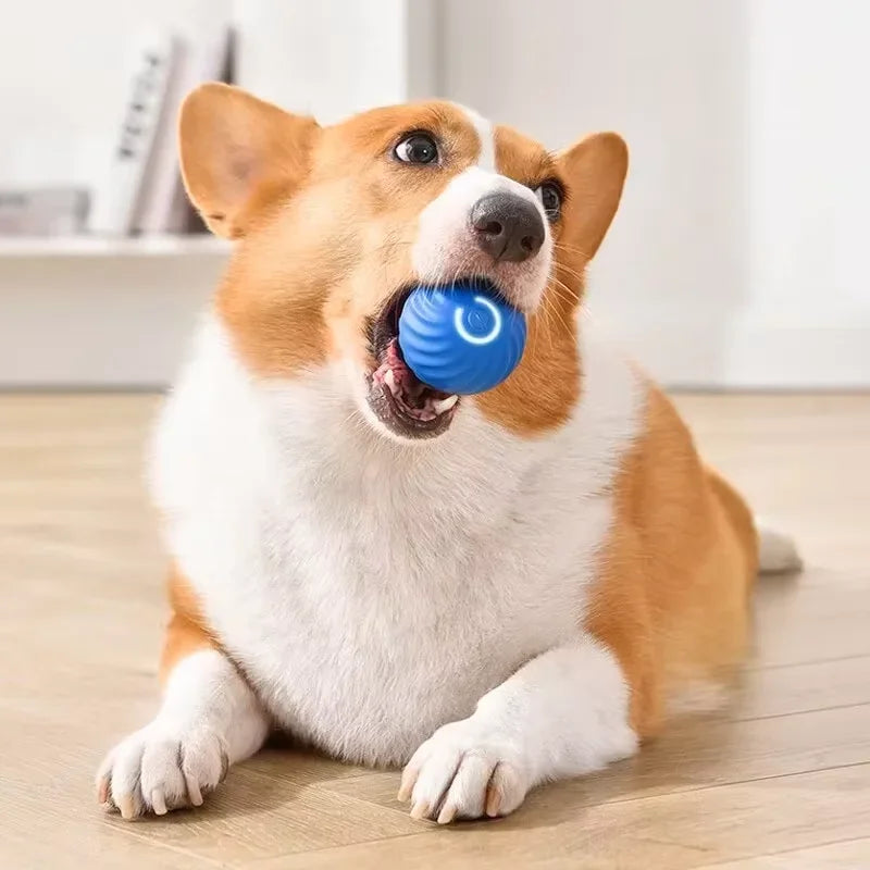 Smart Interactive Dog Ball – Automatic Moving, Rotating and Jumping Toy, USB Rechargeable