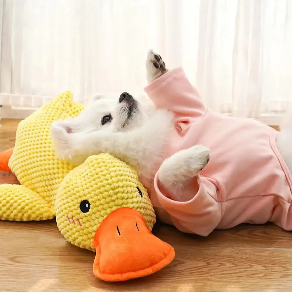 Brinquedo Pelucia de Pato para Cães  som Calmante