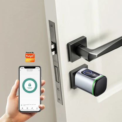Fechadura Eletrônica Inteligente  – Impressão Digital, Controle por App e BLE, Desbloqueio Remoto