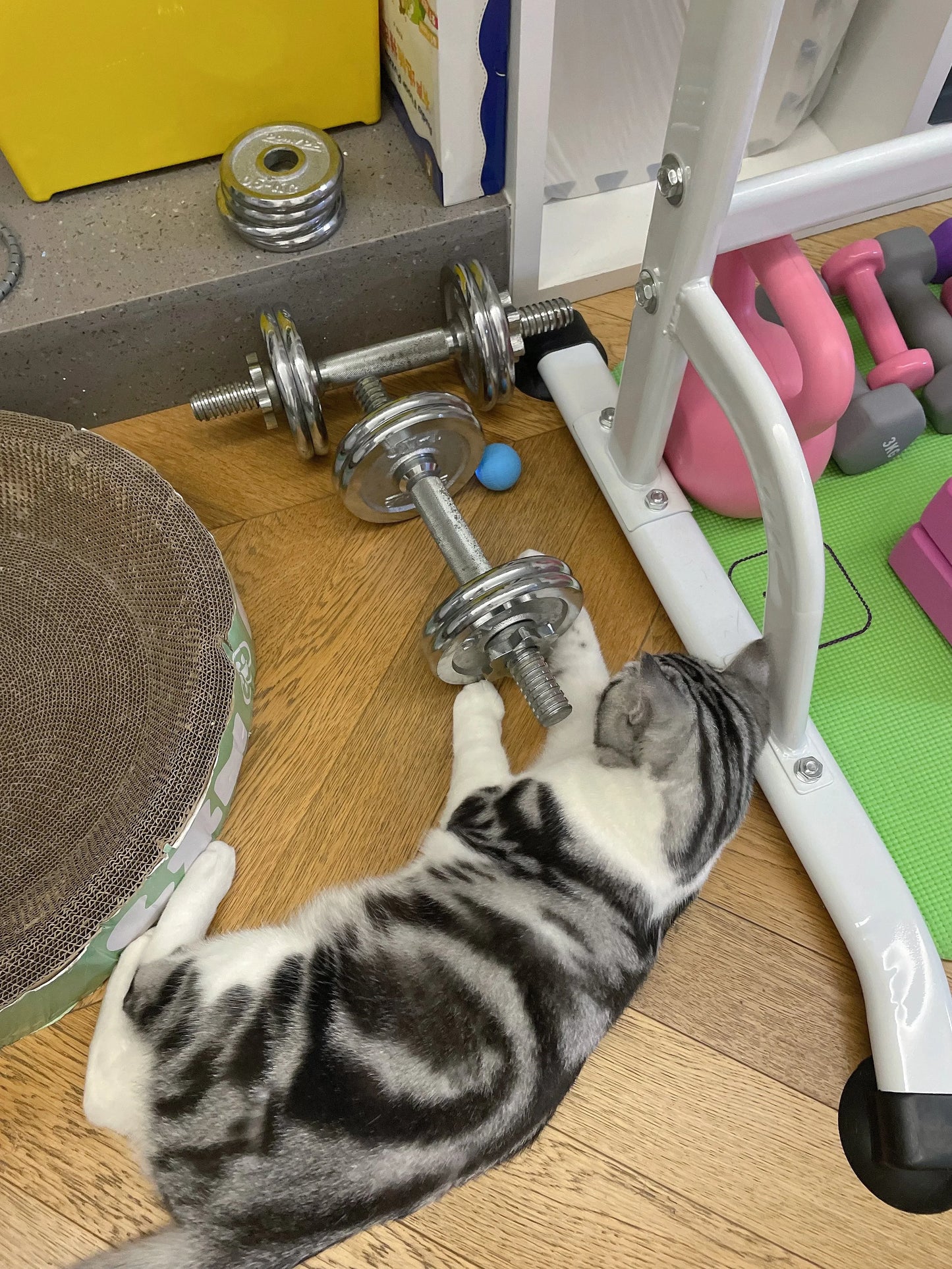 Bola Interativa Inteligente para Gatos – Brinquedo Eletrônico com Rolamento Automático e Efeitos Mágicos
