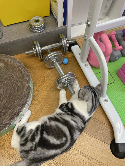 Bola Interativa Inteligente para Gatos – Brinquedo Eletrônico com Rolamento Automático e Efeitos Mágicos