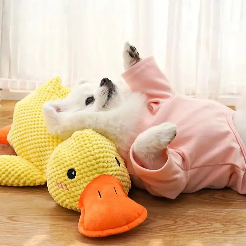 Brinquedo Pelucia de Pato para Cães  som Calmante