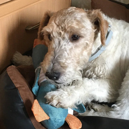 Brinquedo de Pelúcia para Cães
